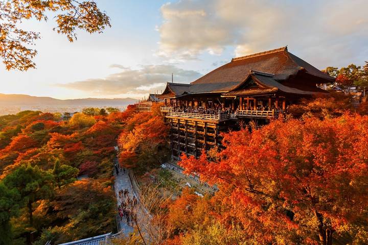 12 Days Japan Grand Luxury Tour Package by Delightful Travel Review - Fushimi Inari, Nara deer and Osaka after dark