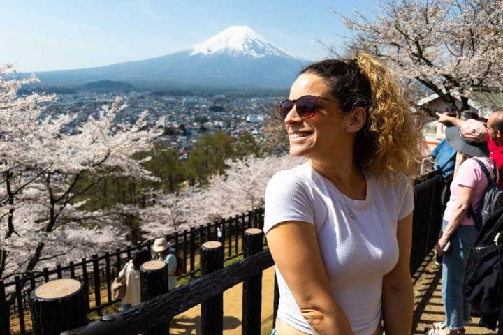 13 Day Central Japan Cherry Blossom Festival by UME Travel Review - Hotels, meals and the tour’s overall pace