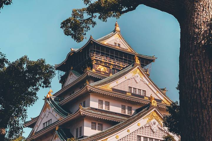 13-Day Japan Tour: Tokyo, Mount Fuji, Kyoto, Nara, Osaka & Beyond - Mt Fuji country brings a welcome change of scenery