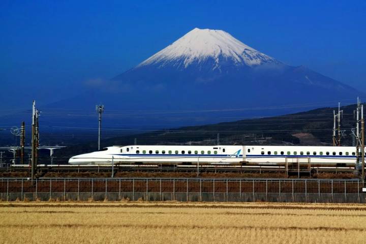 13 Days Iconic Japan Tour (private guide & driver) by UME Travel Review - From Tokyo’s shrine paths to Kyoto’s old lanes