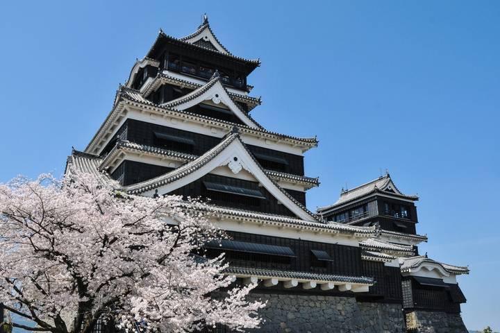 13 Days Iconic Japan Tour (private guide & driver) by UME Travel Review - What the price buys, and what to confirm