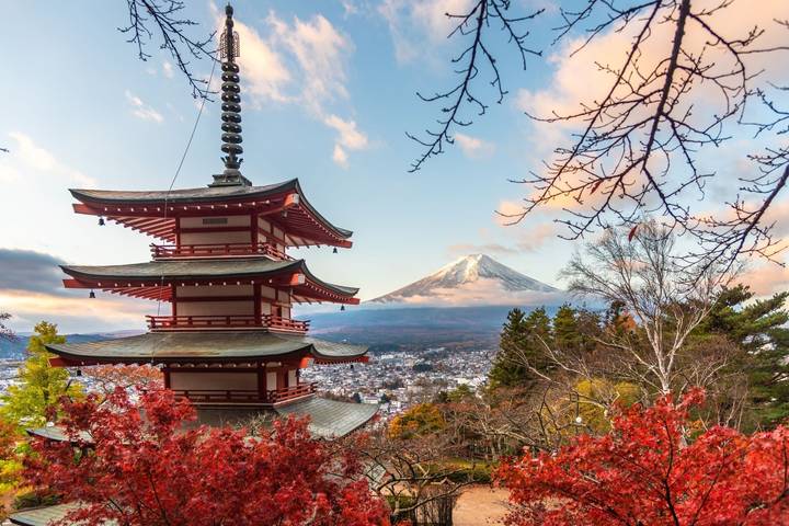 14 Day Best of Japan Golden Route Tour Package by Tourist Journey Review - A long route, with room to set your own pace