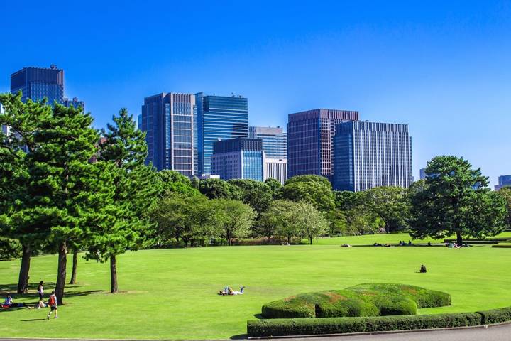 14 Day Best of Japan Golden Route Tour Package by Tourist Journey Review - Kyoto and Nara bring the classic temple circuit