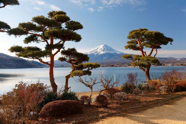 14 Day Best of Japan Golden Route Tour Package by Tourist Journey Review - Hotels, luggage, and the details that affect comfort