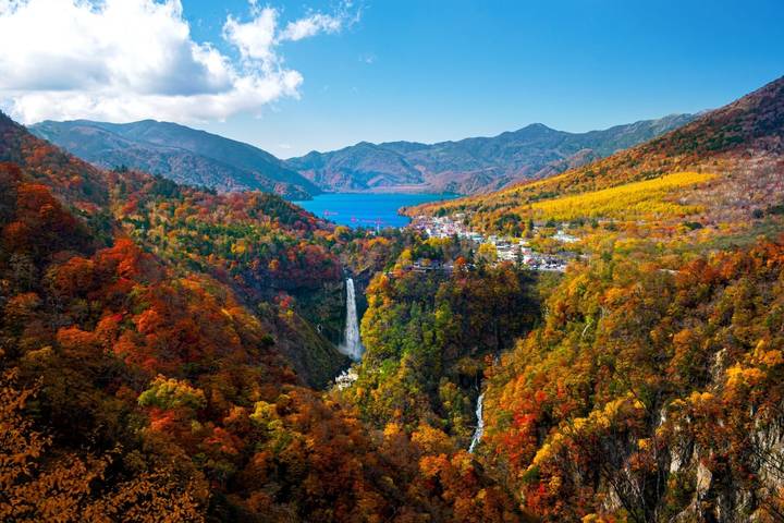 14 Day Best of Japan Golden Route Tour Package by Tourist Journey Review - FAQ
