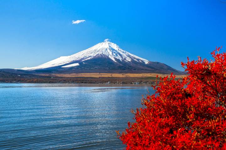 14 Days Onsen Relaxation & Autumn Gastronomy in Japan by UME Travel Review - What to know before you book