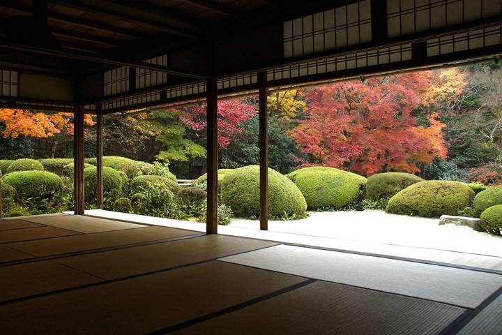 14 Days Onsen Relaxation & Autumn Gastronomy in Japan by UME Travel Review - Miyajima’s shrine and Osaka’s food finish the guided route