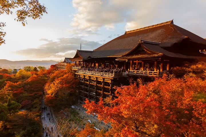 14 Days Onsen Relaxation & Autumn Gastronomy in Japan by UME Travel Review - Nikko’s shrine and waterfall lead toward Mount Fuji country