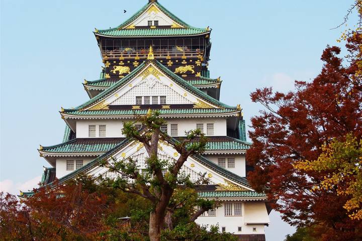 15 Days Japan Autumn Castles Expedition by UME Travel - Tokyo to Osaka Review - At a glance: what this 15-day route covers