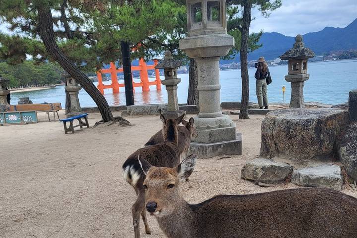 15 Days Japan Autumn Castles Expedition by UME Travel - Tokyo to Osaka Review - Hiroshima and Miyajima add history and a change of tone
