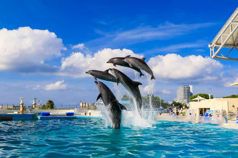 <1Dya Tour>Churaumi Aquarium, Cape Manzamo, American Village - Why This Tour Works for a First Okinawa Visit