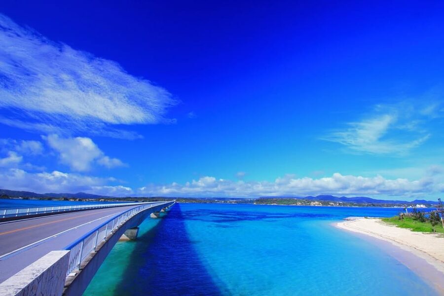 <1Dya Tour>Churaumi Aquarium, Cape Manzamo, American Village - Three Hours at Ocean Expo Park