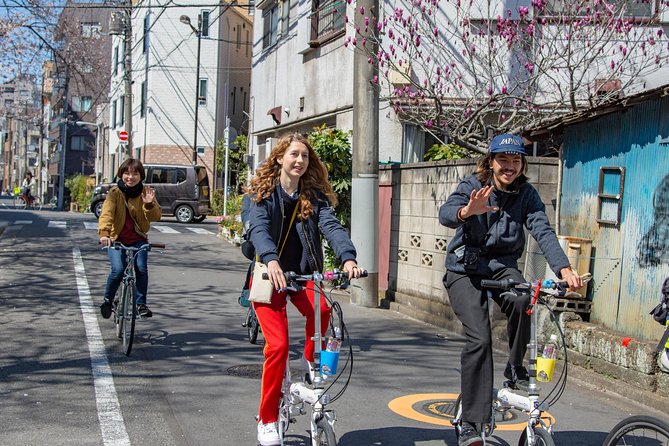 2.5 Hour-Guided Cycle Tour in the Central Tokyo - Honryuin Matsuchiyama Shoden and its unusual symbols