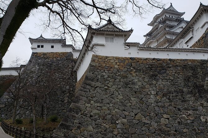 2.5 Hour Private History and Culture Tour in Himeji Castle - Why Himeji Castle Works Best With a Guide