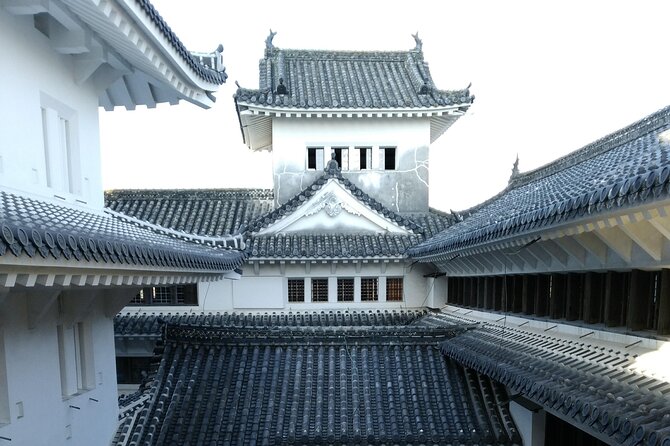 2.5 Hour Private History and Culture Tour in Himeji Castle - More Than Architecture: Himeji’s Local Story