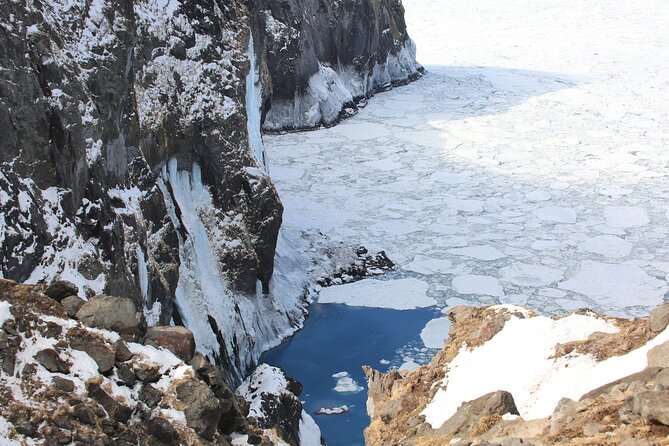 3.5hours Primeval Forest Snowshoe hike and Wildlife Watching Tour - Why the primeval forest feels different