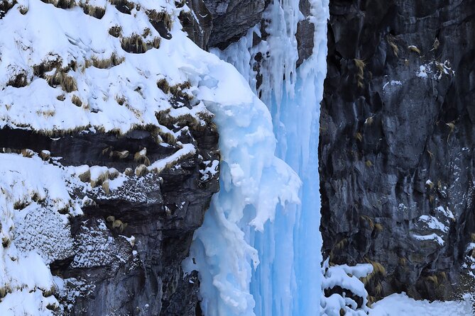 3.5hours Primeval Forest Snowshoe hike and Wildlife Watching Tour - Who should book this experience?