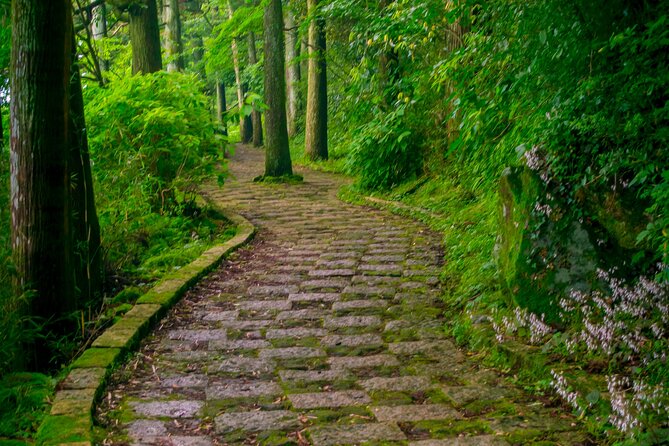 3 Day Japan Highlights Tour: Tokyo, Mt.Fuji, Nara, Kyoto, Osaka - Group Size, Comfort, and the Pace You Should Expect