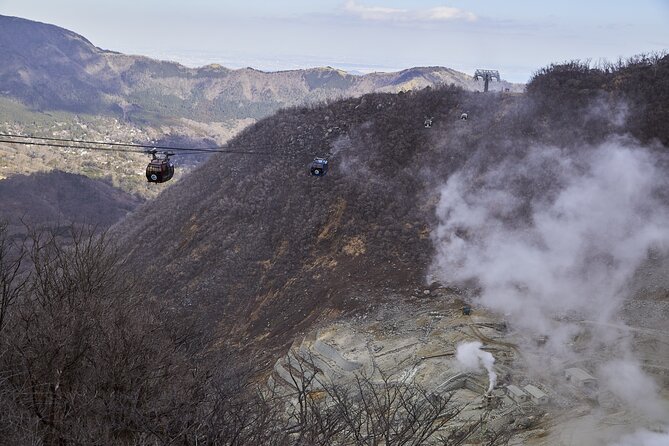 3 Day Japan Highlights Tour: Tokyo, Mt.Fuji, Nara, Kyoto, Osaka - Who Will Get the Most From This Japan Tour?