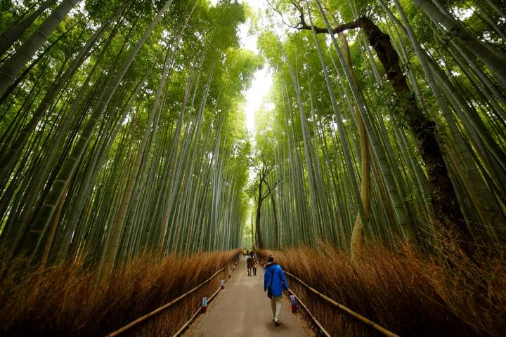 3 Day Kyoto, Osaka & Nara Tour from Tokyo by Tourist Journey Review - Two Kyoto hotel nights make the route simpler