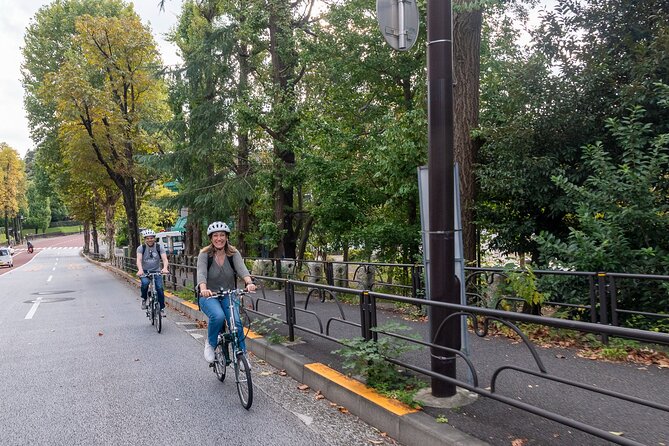 3-Hour Tokyo Private E-Bike Tour Starting from Your Hotel - Parks, shrines, and open space in a crowded city