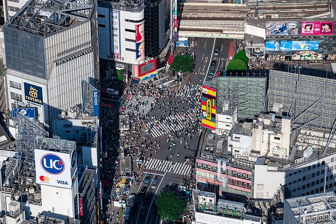 30-Min Tokyo Central Private Heli Tour– Asakusa, Skytree, Shibuya - A private cabin changes the feel of the experience