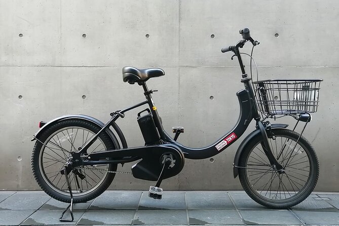3h Tokyo E-Bike Tour: Hidden Gems, and Local Life with guide - Morning Route: Tokyo Station and Imperial Palace Views