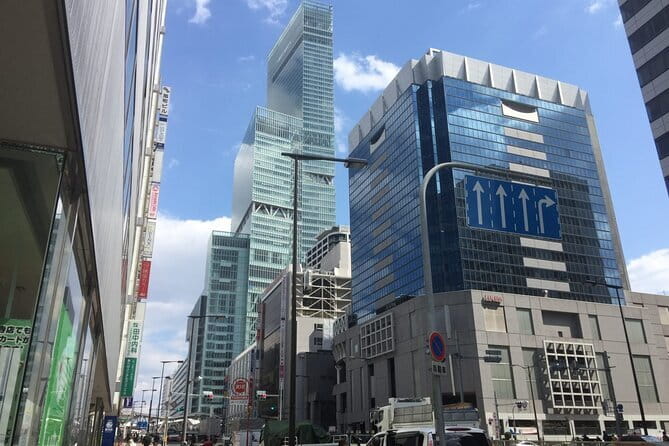 4/5/6 Hours Private Osaka Tour Designed for Cruise Passengers - The guide can make or break the day