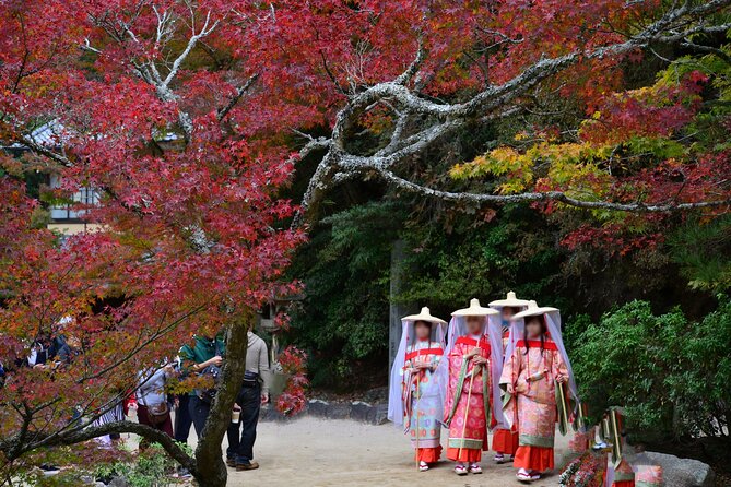 4 Hour Miyajima PRIVATE Tour - The guides are the main reason to book
