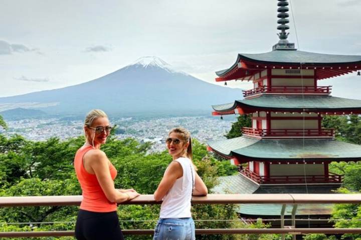 5 Day All Inclusive Japan Classics(Private Guide and Driver)Family Tour Customizable - A fast route from Tokyo to Osaka