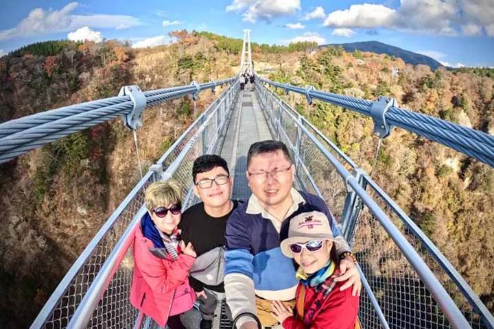 5 Day All Inclusive Japan Classics(Private Guide and Driver)Family Tour Customizable - What private and partially guided mean here
