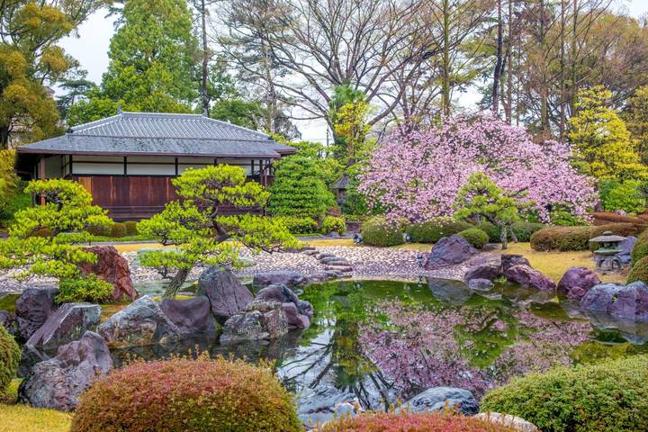 5 Day Cultural Adventure of Kyoto, Nara & Osaka by Tourist Journey Review - What $537 covers, and what it does not