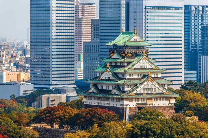 5 Day Cultural Adventure of Kyoto, Nara & Osaka by Tourist Journey Review - The format: local guides, independent transfers
