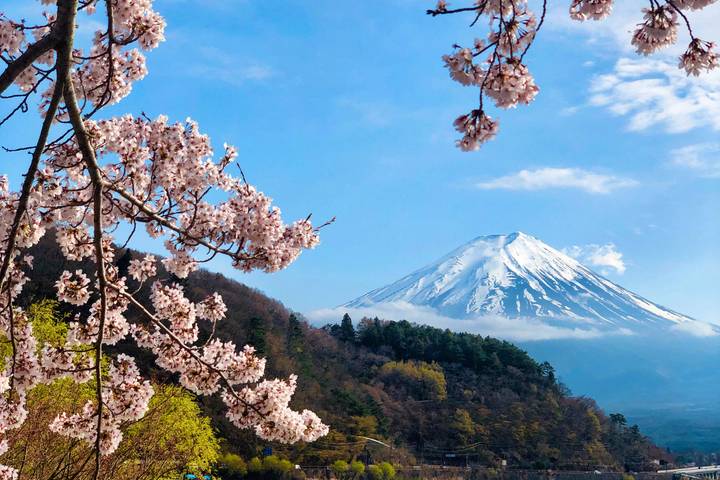 5-Day Japan Tour: Tokyo & Mt Fuji by The Dragon Trip Review - Day 1: Meet the group in Asakusa