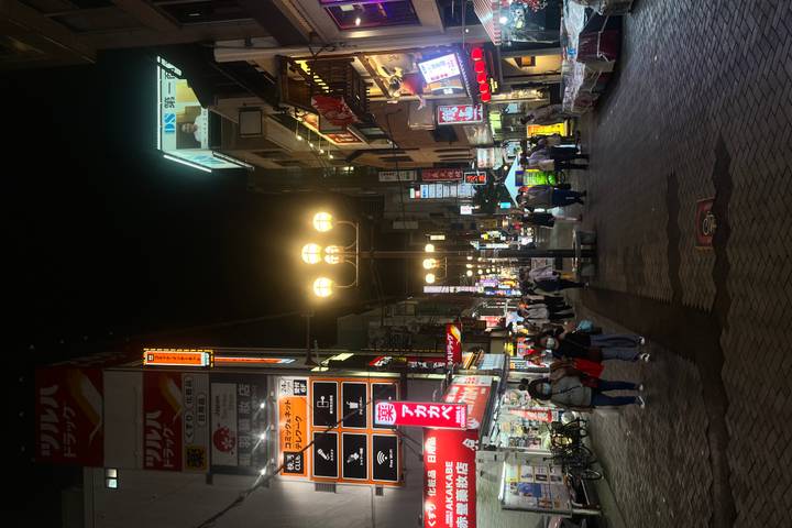5-Day Japan Tour: Tokyo & Mt Fuji by The Dragon Trip Review - Day 4: Train to Shimoyoshida and Oshino Hakkai