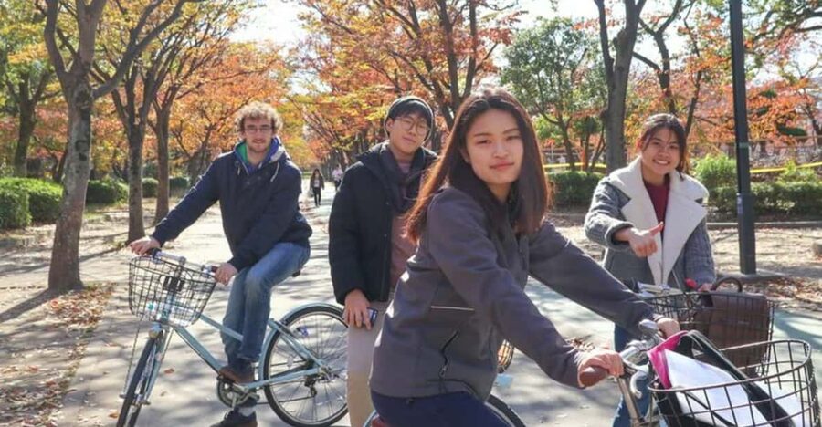 5-Hour Osaka Highlights Bike Tour with Lunch - What guides add to the experience