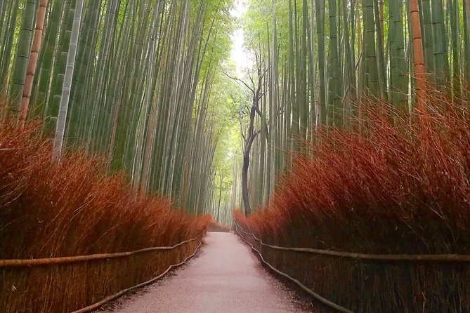 5 Top Highlights of Kyoto Full Day Bike Tour (E-bike option) - Gion, with only 20 minutes to look around