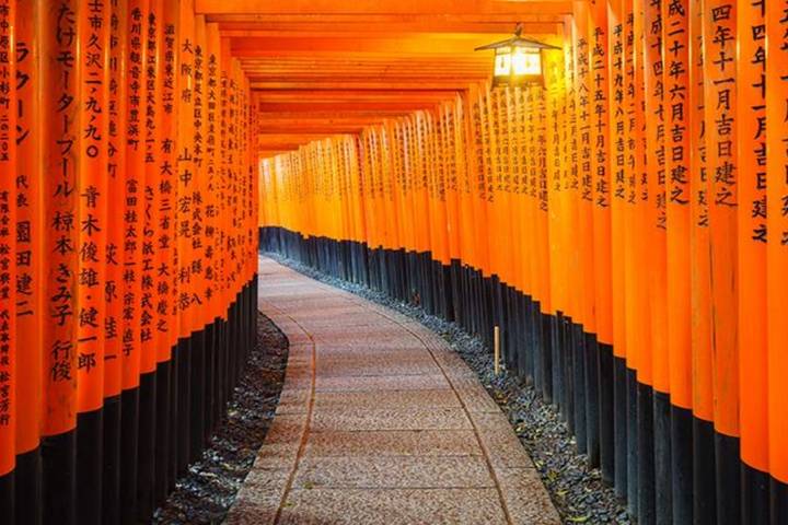 6 Days Japan's Adventure Classis (Private Guide and Driver) - Umetravel Review - Who should book this trip?