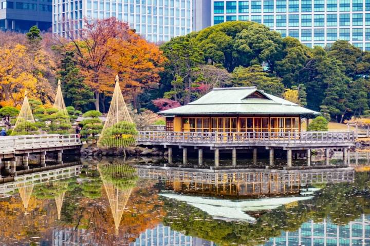 6 Days Japan's Adventure Classis (Private Guide and Driver) - Umetravel Review - Day 2: Tokyo’s temple, water, garden, and market