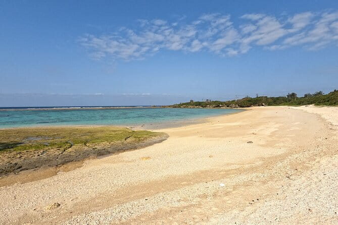 60min Buggy / ATV adventure tour in Jungle in Okinawa - A quick route into Okinawa’s wild side
