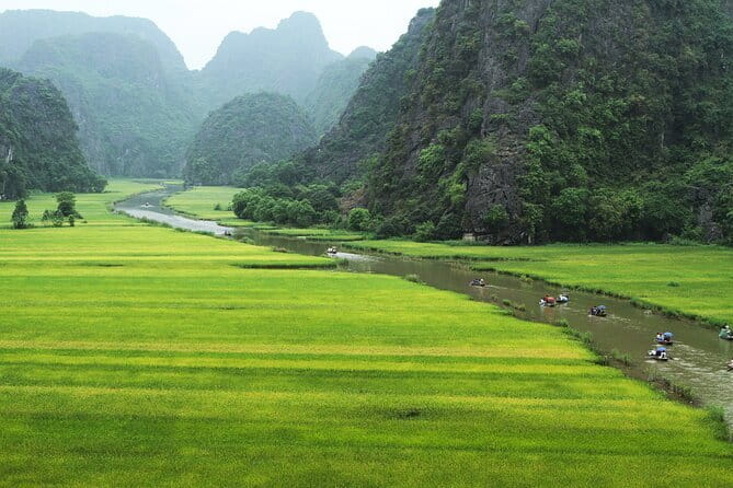60min Buggy / ATV adventure tour in Jungle in Okinawa - Booking, weather, and cancellation details