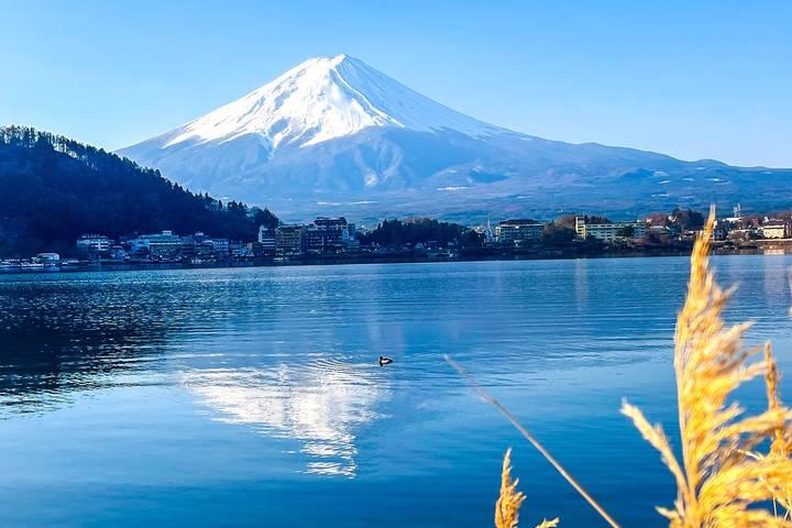 7-Day Best Japan Mini Group Tour with 3/4 Stars Hotels by Agate Travel Review - Hotels, meals and the real cost