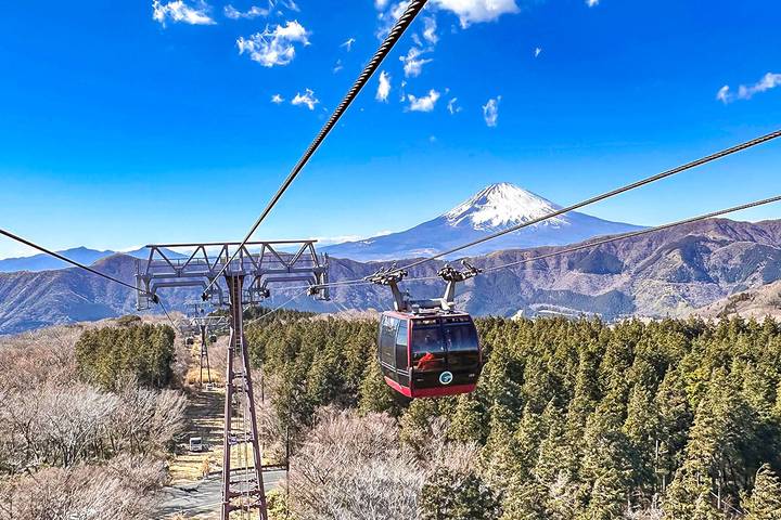 7-Day Best Japan Mini Group Tour with 3/4 Stars Hotels by Agate Travel Review - Day 4: Kyoto’s gold pavilion, temple slopes and Gion