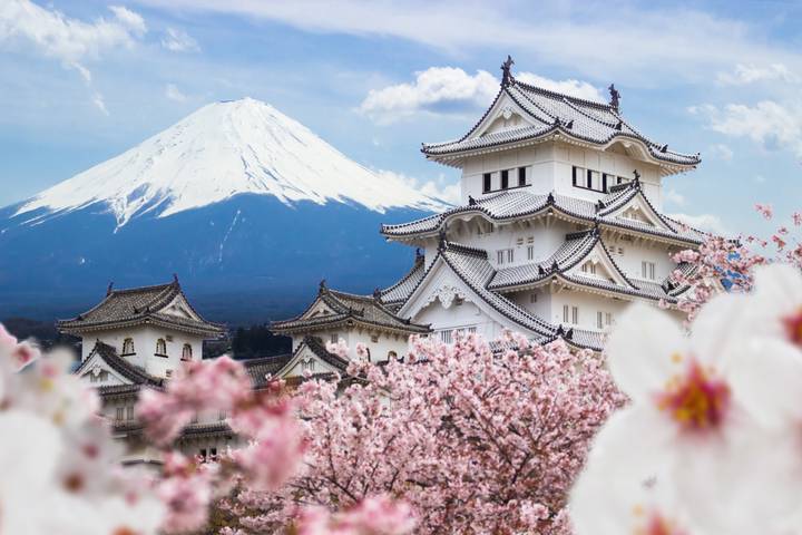 7-Day Japan Delight: Tokyo, Mt. Fuji, Kyoto by Intertrips Review - A first look at the tour’s pace