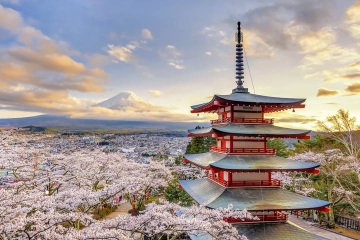 7-Day Japan Delight: Tokyo, Mt. Fuji, Kyoto by Intertrips Review - Day 4: Kyoto, with temples available as an extra