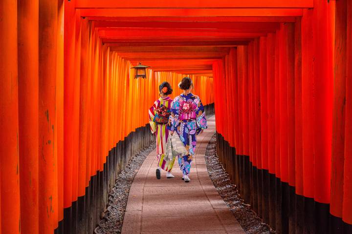 7-Day Japan Delight: Tokyo, Mt. Fuji, Kyoto by Intertrips Review - Day 7: Departure and the airport fare