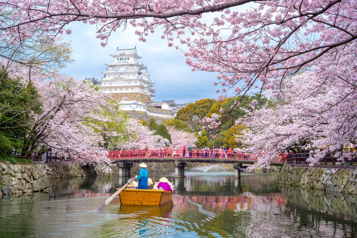 7-Day Japan Delight: Tokyo, Mt. Fuji, Kyoto by Intertrips Review - Day 1: Arriving in Tokyo, with a transfer to sort out