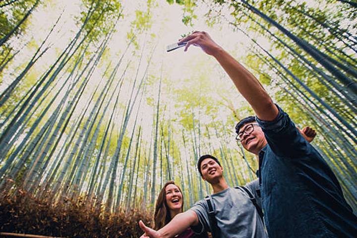 7 Day Japan Educational (Private Guide and Driver) - Umetravel Review - The details that matter most