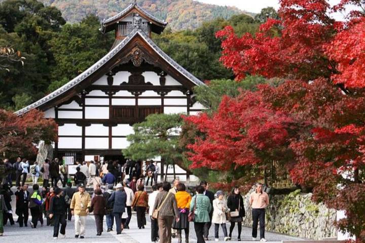 7 Day Japan Educational (Private Guide and Driver) - Umetravel Review - What $2,390 buys, and what it does not