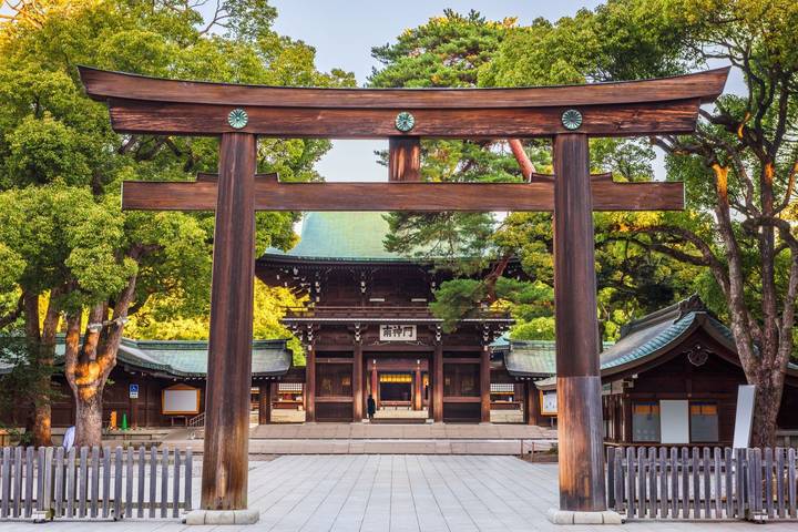 7 Day Japan on a Budget Small Group Tour Package by Tourist Journey Review - At a glance: what this Japan week includes